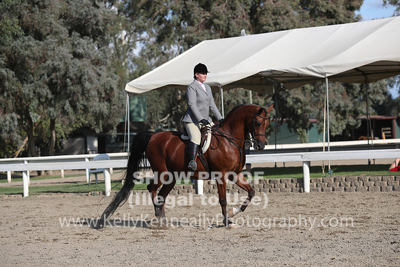 DAHA_FALL19SATPM_6097