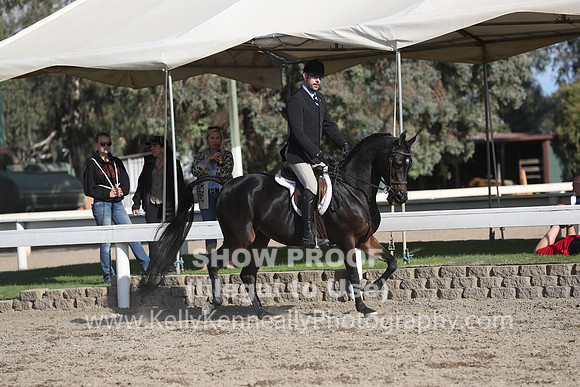 DAHA_FALL19SATPM_6101