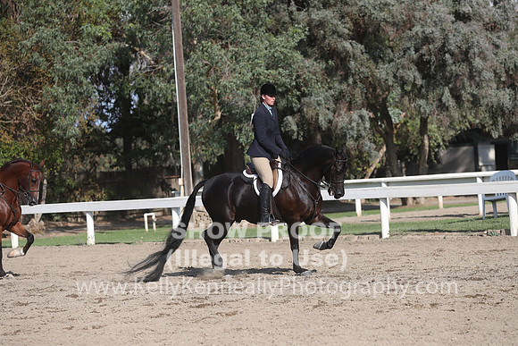 DAHA_FALL19SATPM_6103