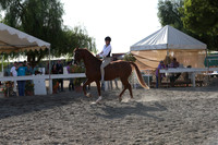 DAHA_FALL19_RideABuck_6152