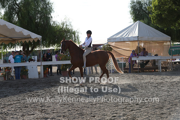 DAHA_FALL19_RideABuck_6152