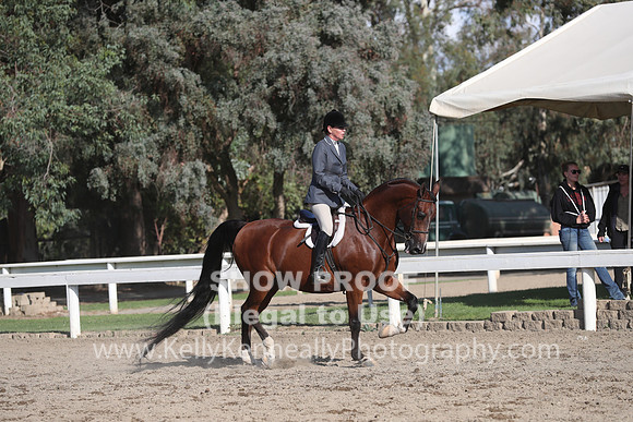 DAHA_FALL19SATPM_6105