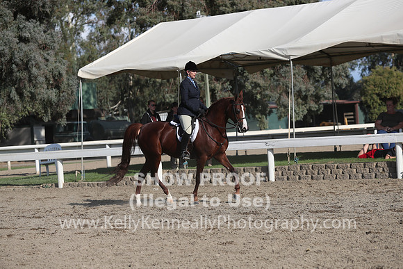 DAHA_FALL19SATPM_6109