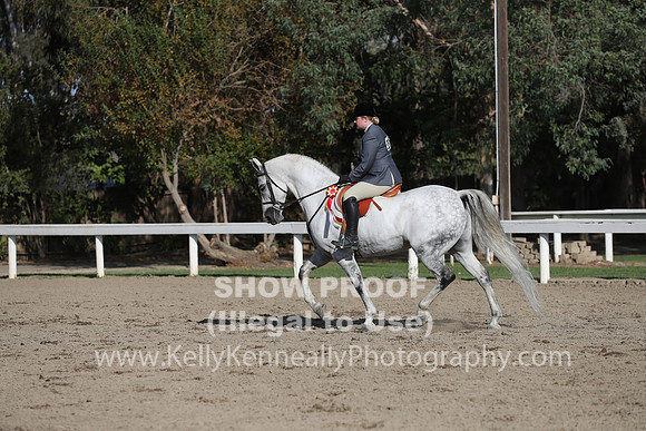 DAHA_FALL19SATPM_6111