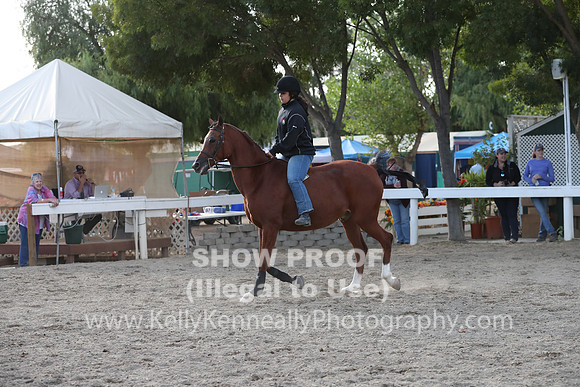DAHA_FALL19_RideABuck_6161