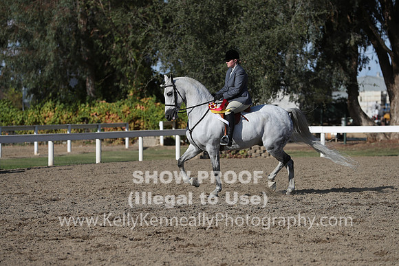 DAHA_FALL19SATPM_6116