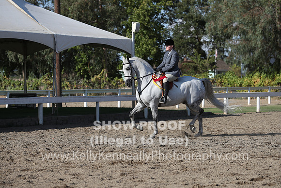 DAHA_FALL19SATPM_6117