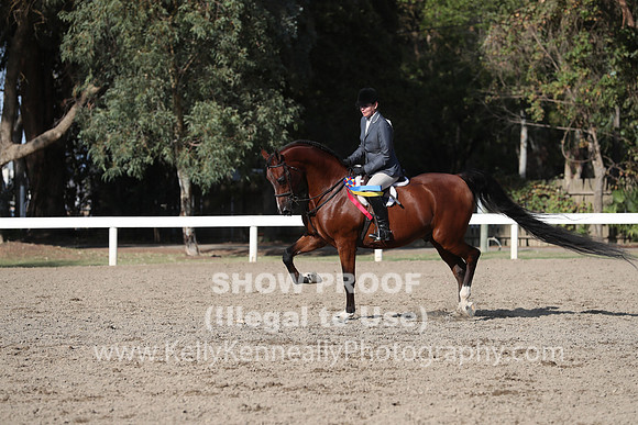 DAHA_FALL19SATPM_6124