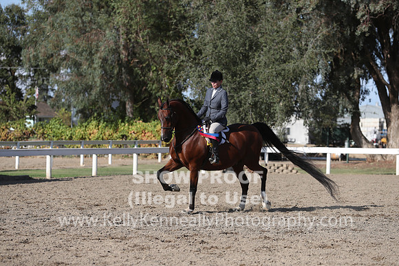 DAHA_FALL19SATPM_6126