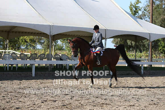 DAHA_FALL19SATPM_6129