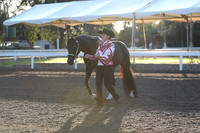 Class 139-142 Showmanship Classes