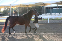 DAHA_FALL19SUNAM_6577