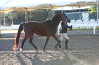 DAHA_FALL19SUNAM_6578