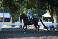 DAHA_FALL19SUNAM_6663