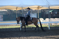 Class 144 HA/AA Western Pleasure Championship