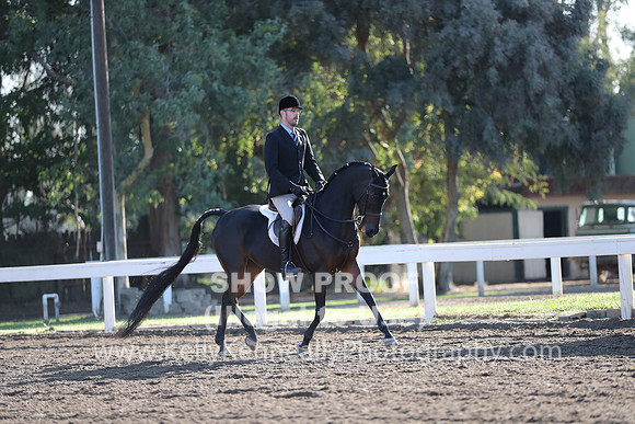 DAHA_FALL19SUNAM_6779