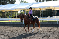 Class 147 A/HA/AA Western Pleasure Walk Jog 10 & Under Championship
