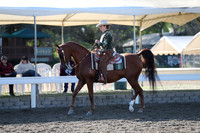 DAHA_FALL19SUNAM_6954