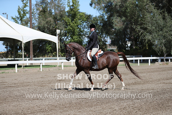 DAHA_FALL19SUNPM_7520