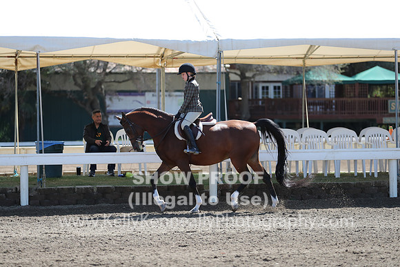 DAHA_FALL19SUNPM_7524