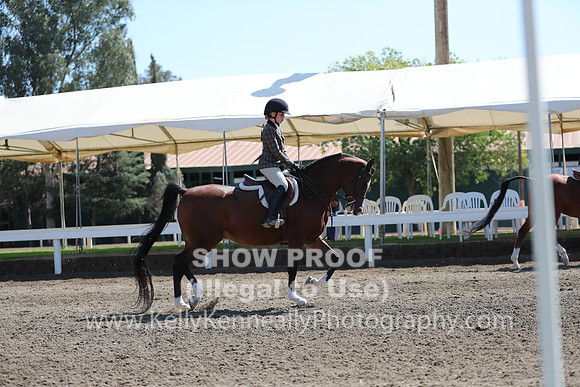 DAHA_FALL19SUNPM_7526