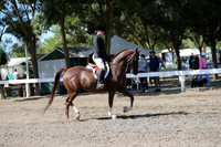 DAHA_FALL19SUNPM_7529