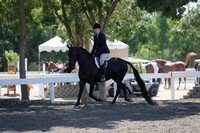 DAHA_FALL19SUNPM_7569