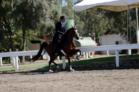 DAHA_FALL19SUNPM_7627