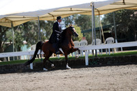 DAHA_FALL19SUNPM_7629