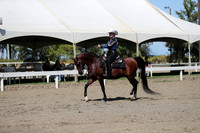 Class 173 Arabian Western Pleasure Championship