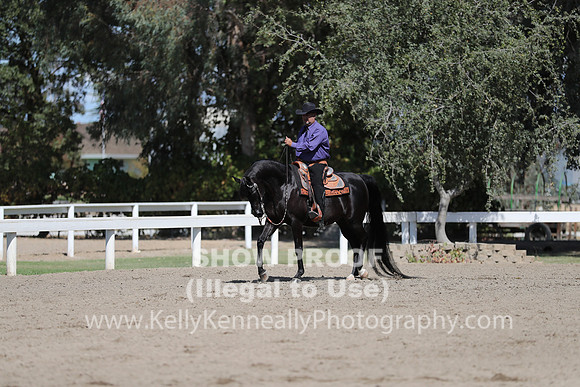 DAHA_FALL19SUNPM_7723