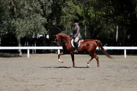 Class 174 HA/AA JHunter Pleasure JTR 18 & under Championship