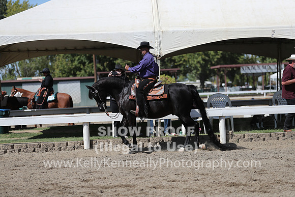 DAHA_FALL19SUNPM_7730