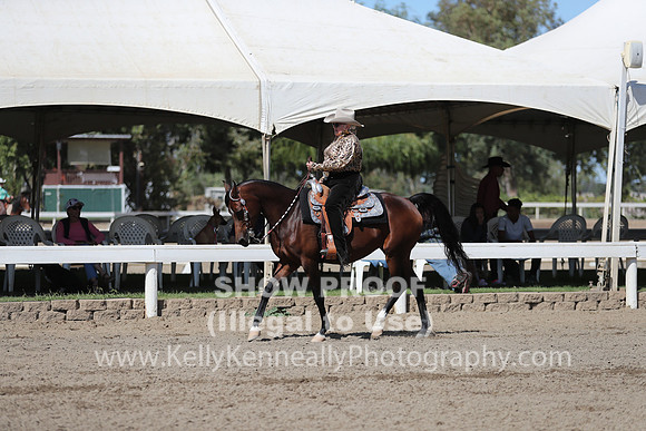 DAHA_FALL19SUNPM_7671