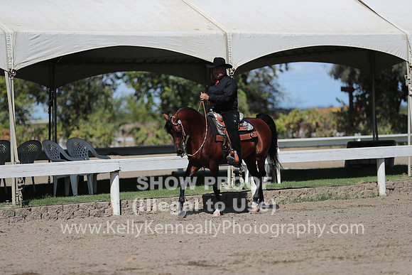 DAHA_FALL19SUNPM_7731