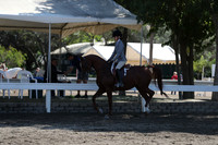 DAHA_FALL19SUNPM_7786