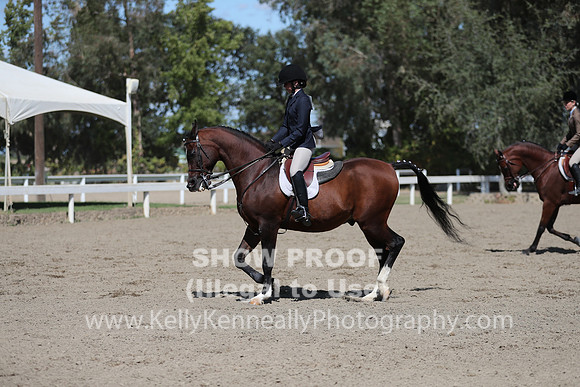 DAHA_FALL19SUNPM_7863
