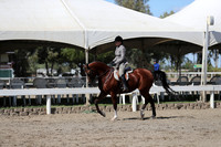 DAHA_FALL19SUNPM_7917