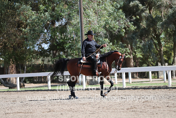 DAHA_FALL19SUNPM_7744
