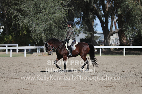DAHA_FALL19SUNPM_7801