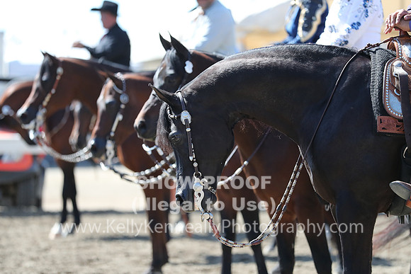 DAHA_FALL19SUNPM_7752