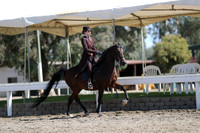 DAHA_FALL19SUNPM_7954