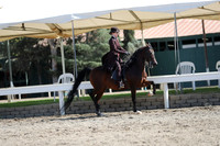 DAHA_FALL19SUNPM_7956