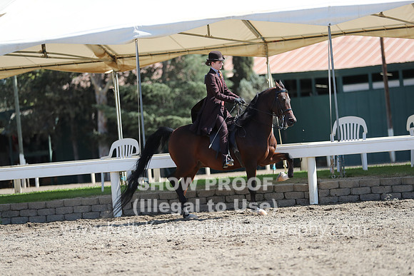 DAHA_FALL19SUNPM_7956