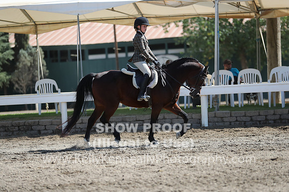 DAHA_FALL19SUNPM_7807