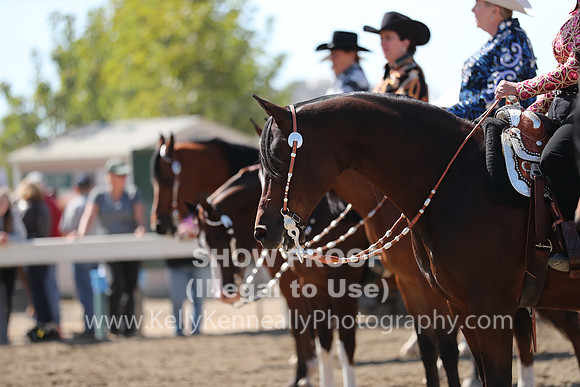 DAHA_FALL19SUNPM_7694