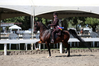 DAHA_FALL19SUNPM_7971
