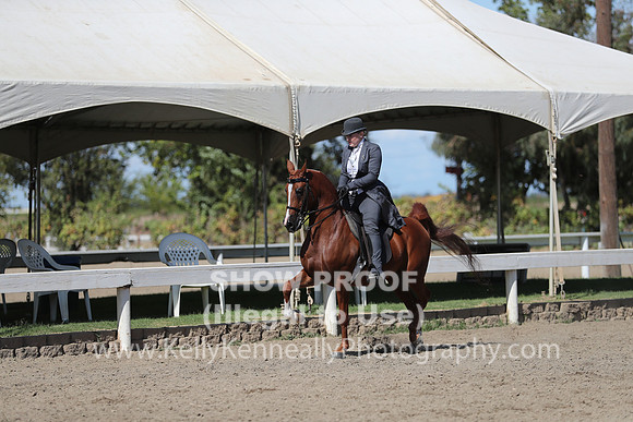 DAHA_FALL19SUNPM_8011