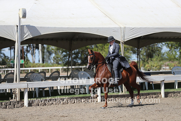 DAHA_FALL19SUNPM_8012