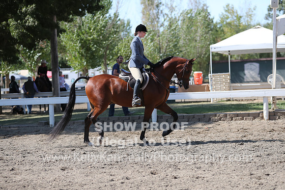 DAHA_FALL19SUNPM_8059